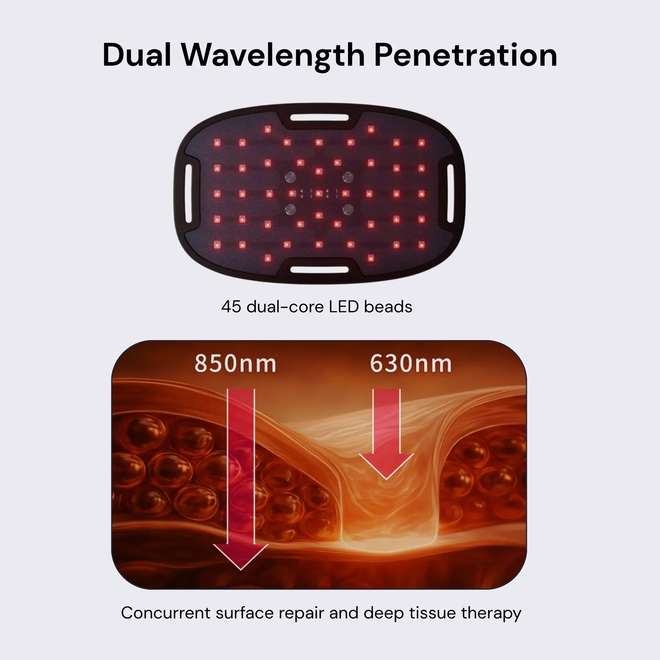 LED therapy device with dual wavelength penetration and close-up of LED beads.